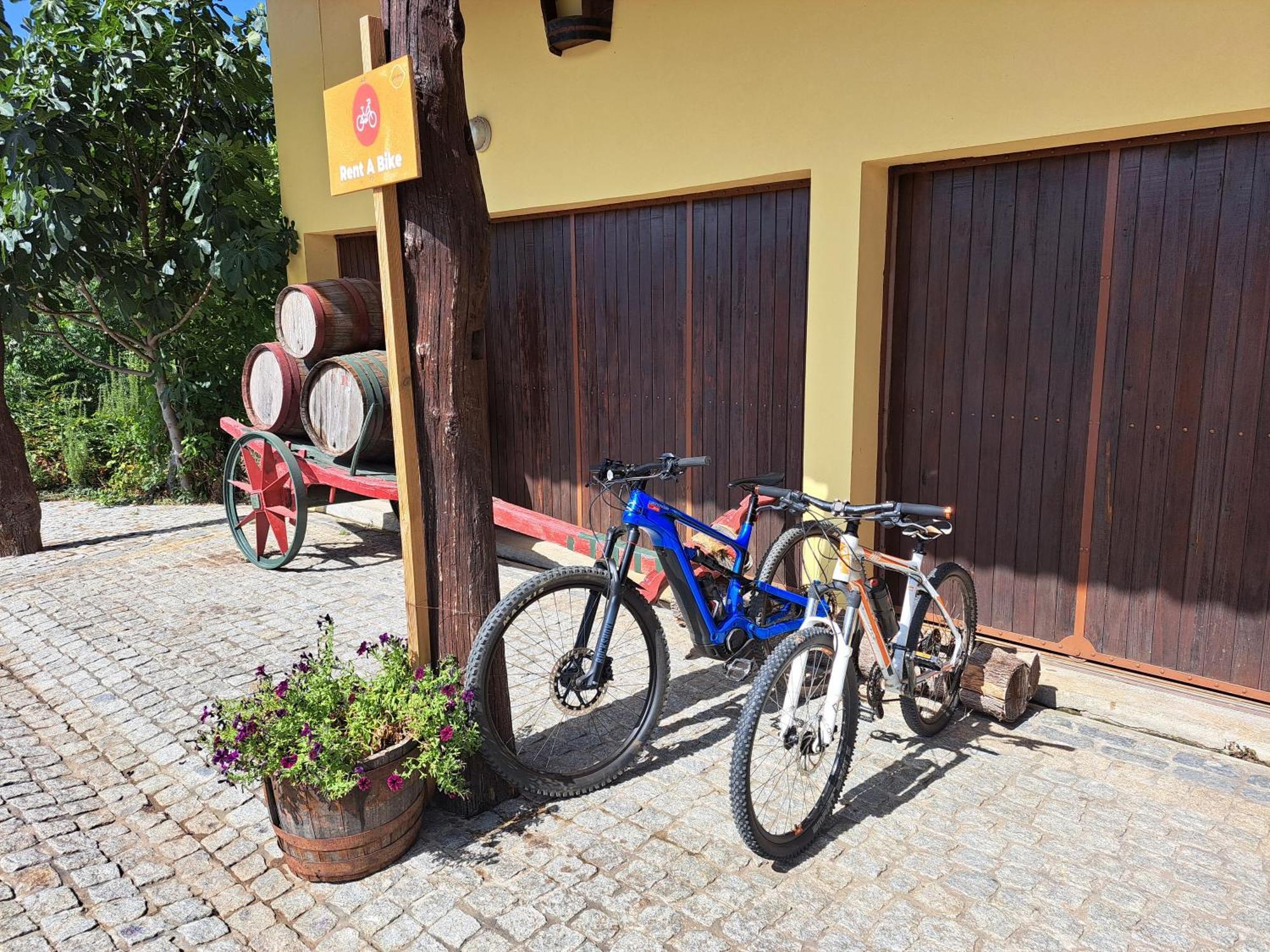 Quinta De Carcavelos Agroturismo E Enoturismo Celorico De Basto Buitenkant foto